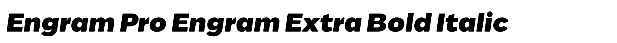 Engram Pro Engram Extra Bold Italic image